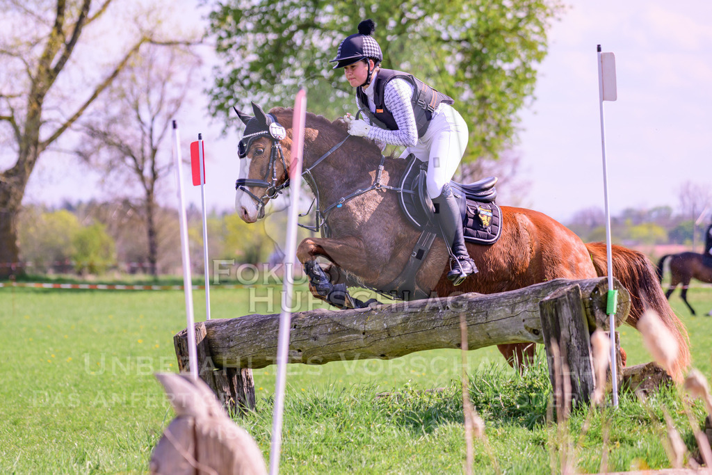 18042026-Gernlinden-04-1-0119 | Fokus Hufschlag Fotografie - Realisiert mit Pictrs.com