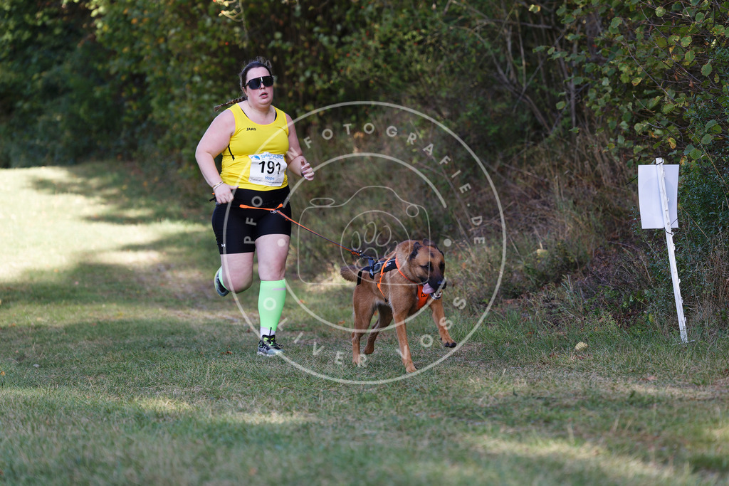 0L8A5507 | Hundefotografie, Tierfotograf, Pfotenfotografie, Fotoshooting Hund, Hunde Portrait, Hundesport, Hundeportraits, Heideshooting, Hunde, Sportfotograf, Hundefotograf, Turnierhundsport, THS,  - Realisiert mit Pictrs.com