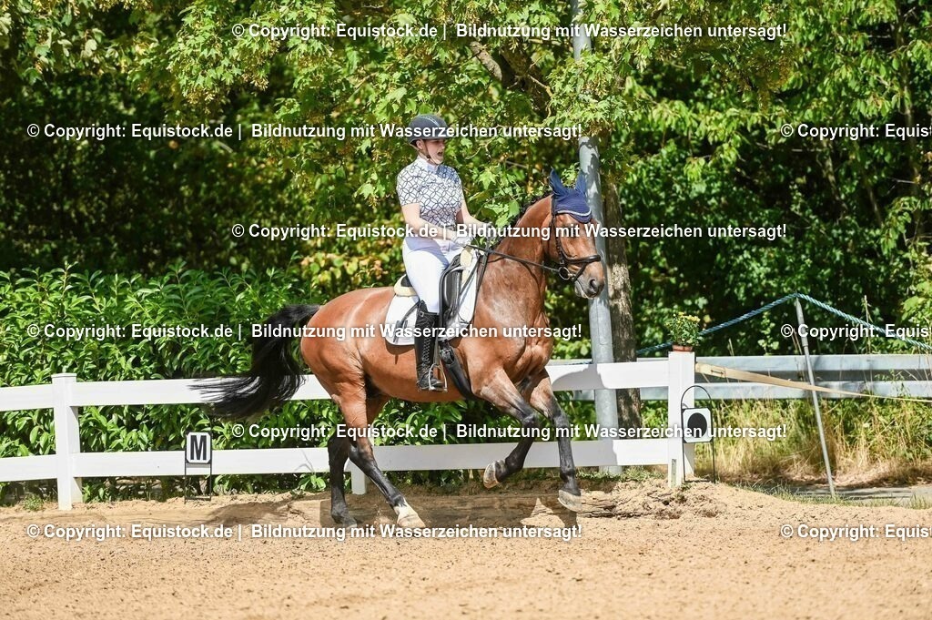 20230715_02_Dressurreiterprüfung Kl.L_0149 | equistock