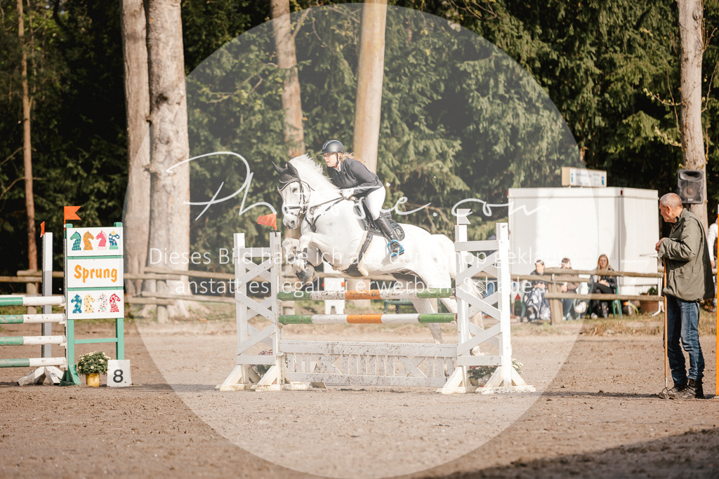 3I6A3471 | Stimmungsvolle Portraits und Reitsportfotografie im Ruhrgebiet und im Münsterland.

Pferdefotografie, Hundefotografie, Tierfotografie, Reportagen, Portraits von Tier und Mensch, Turnierfotografie in Bochum, Recklinghausen, Marl, Haltern am See, Dülmen.. - Realisiert mit Pictrs.com