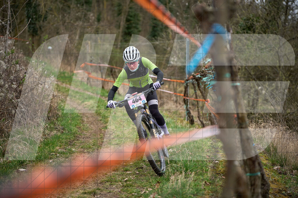 34. KTM Kamptal Trophy  | ZÖBING, Österreich – 2026-03-28: 34. KTM Kamptal TrophyFoto: © 2026 Martin Bihounek - MB Creative e.U.