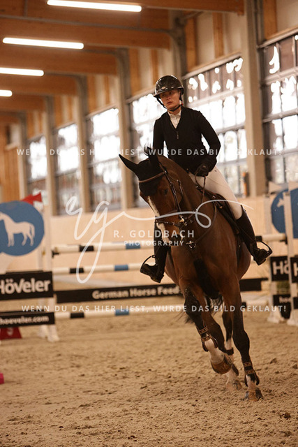 1J2A9392Jasmin Selke-John_ Clarimero M_ Kn145_ Glantz_ Hohen Wieschendorf | Foto- und Videografie für alles rund ums Pferd. Hochwertige Bilder und Videos vom Spring- und Dressurreiten, Voltigieren & mehr. Jetzt aktuelle Veranstaltungen und Preise im Shop ansehen. - Realisiert mit Pictrs.com