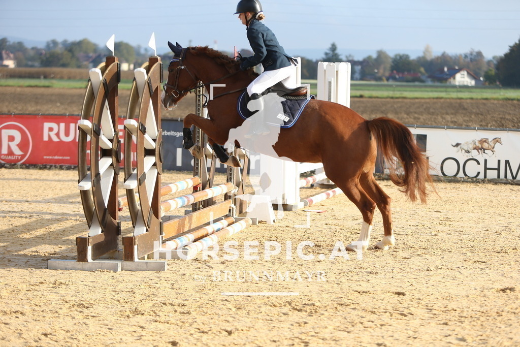 DL2Q3377 | Willkommen bei Brunnmayr - Design & Fotografie – Ihrem Spezialisten für Reitturniere und Pferdeveranstaltungen in Oberösterreich, Salzburg und Bayern! Seit über 17 Jahren sind wir leidenschaftlich dabei.