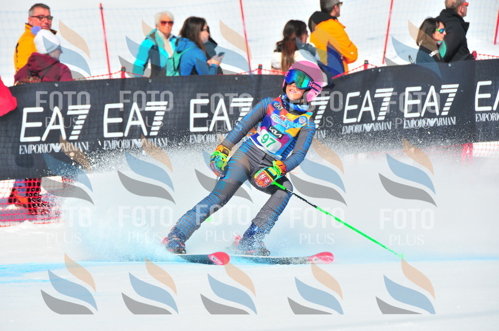 DSC_0665 | holidayphoto