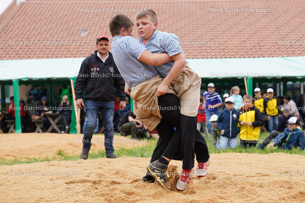 20220423-DSC03590 (2) | René Burch leidenschaftlicher Fotograf aus Kerns in Obwalden.  Hier finden sie Sport, Landschaft und Natur Fotografie.
 - Realisiert mit Pictrs.com