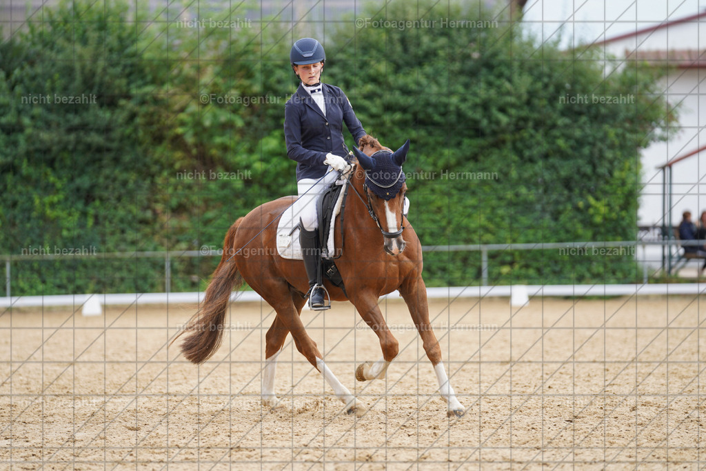 20240825-FAH00252 | Turnierbilder, Reitsportfotos, LAPO, Landesponyturnier, Turnierfotografen Bayern