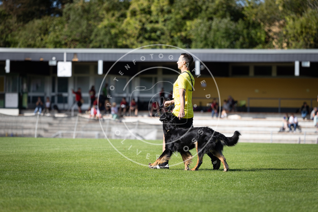 Pfotenfotografie_DV3A4928 | Hundefotografie, Tierfotograf, Pfotenfotografie, Fotoshooting Hund, Hunde Portrait, Hundesport, Hundeportraits, Heideshooting, Hunde, Sportfotograf, Hundefotograf, Turnierhundsport, THS,  - Realisiert mit Pictrs.com
