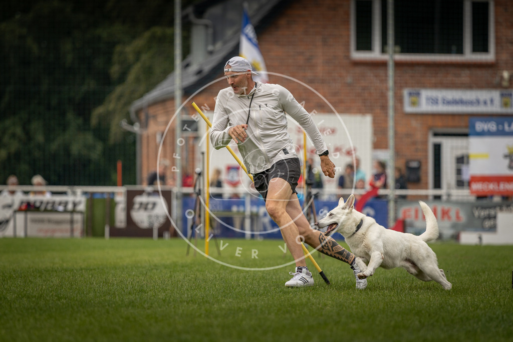 Pfotenfotografie_DV3A8086 | Hundefotografie, Tierfotograf, Pfotenfotografie, Fotoshooting Hund, Hunde Portrait, Hundesport, Hundeportraits, Heideshooting, Hunde, Sportfotograf, Hundefotograf, Turnierhundsport, THS,  - Realisiert mit Pictrs.com