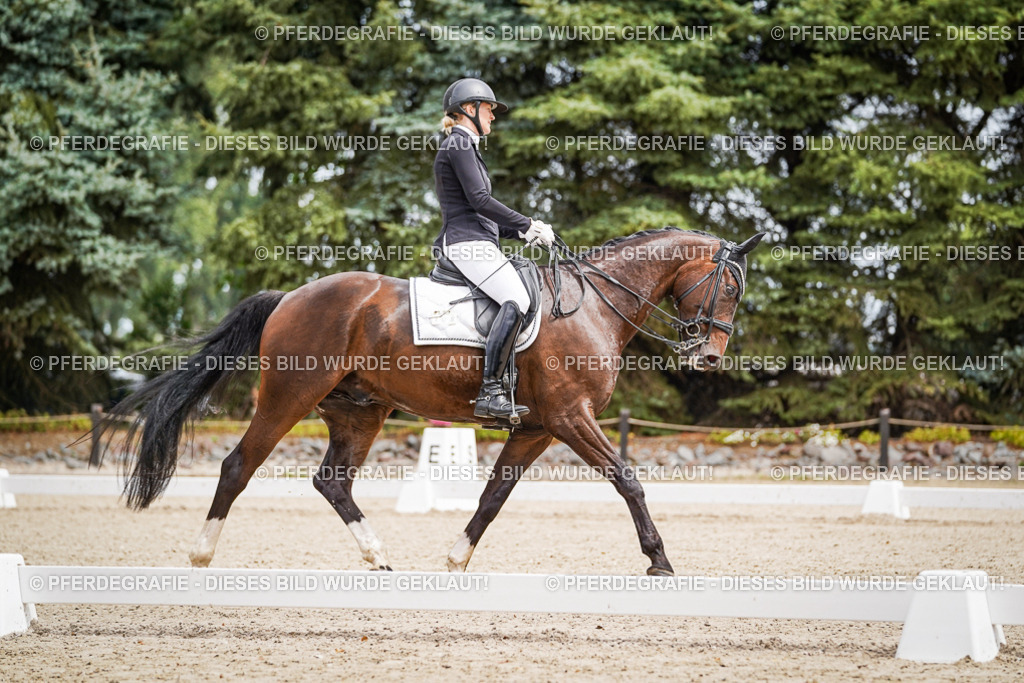 DSC03748 | Pferdegrafie