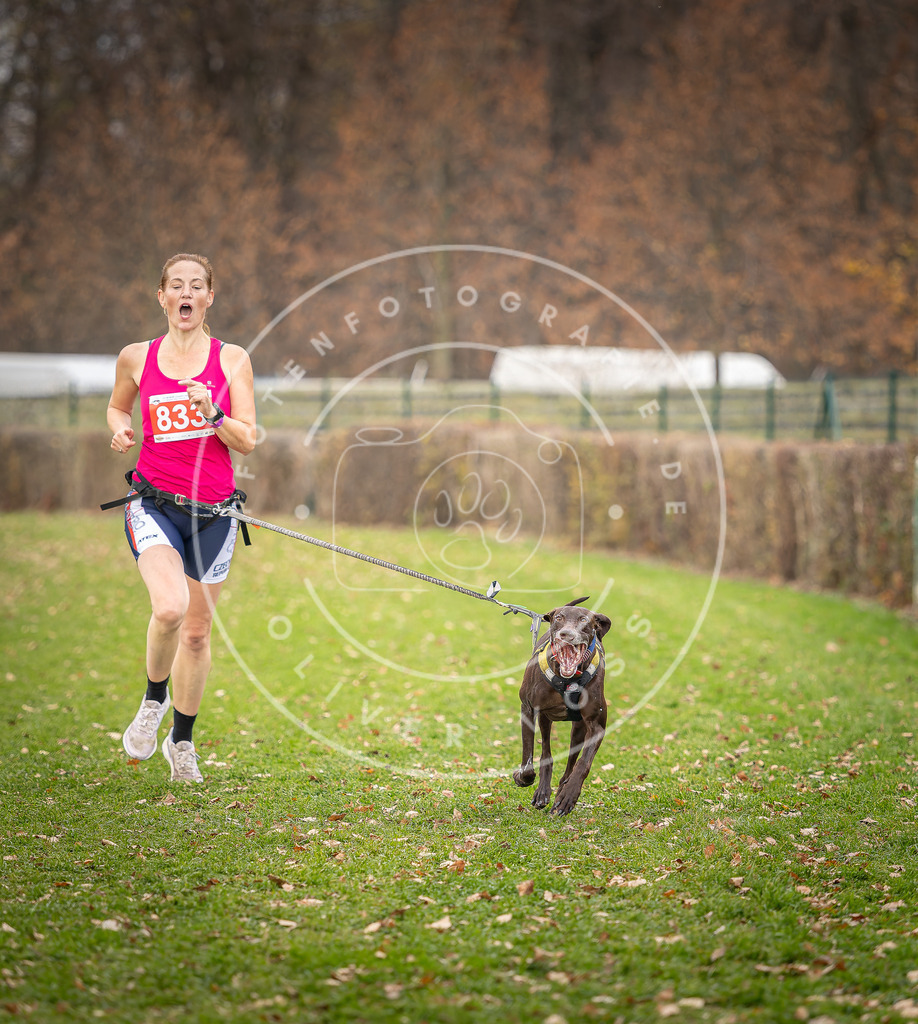 CaniXpix_DV3A6442 | Hundefotografie, Tierfotograf, Pfotenfotografie, Fotoshooting Hund, Hunde Portrait, Hundesport, Hundeportraits, Heideshooting, Hunde, Sportfotograf, Hundefotograf, Turnierhundsport, THS,  - Realisiert mit Pictrs.com