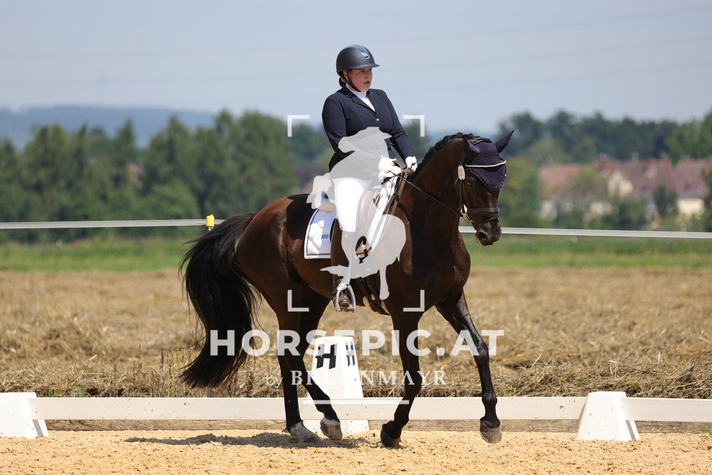 0P6A0269 | Willkommen bei Brunnmayr - Design & Fotografie – Ihrem Spezialisten für Reitturniere und Pferdeveranstaltungen in Oberösterreich, Salzburg und Bayern! Seit über 17 Jahren sind wir leidenschaftlich dabei.