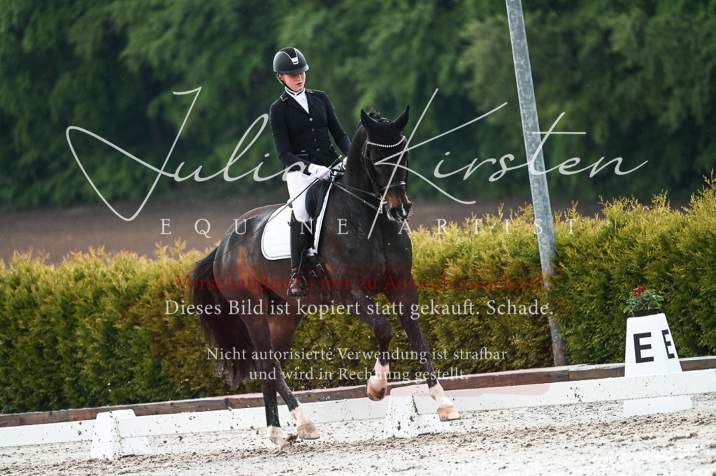DSC_4355 | Pferde- und Turnierfotografie in Westsachsen. Pferdeportraits, Auftragszeichnungen und intuitive Kunst.