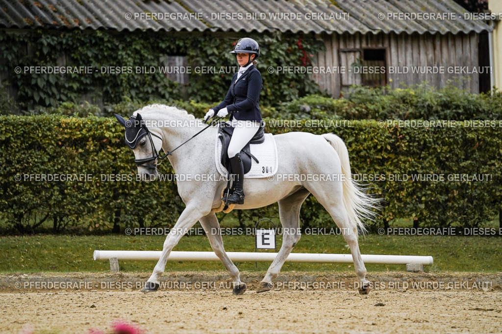 DSC06600 | Pferdegrafie