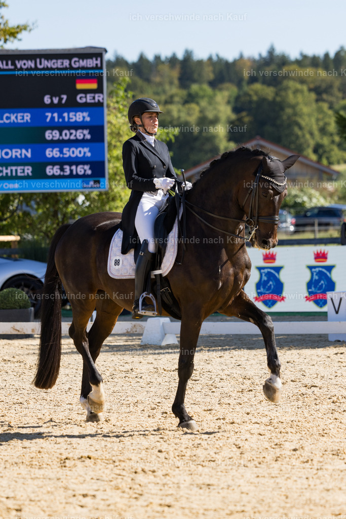 FHC2026_P07_88_17649 | working equitationturnier fotograf videograf stoibphotography marixx film working equitation deutschland reitsport turnierfotografie eventfotografie equestrian events