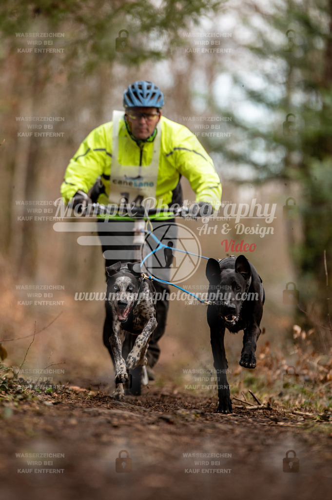 Reiat2023_SAM_DS2_8km_2H-11 | PayLife