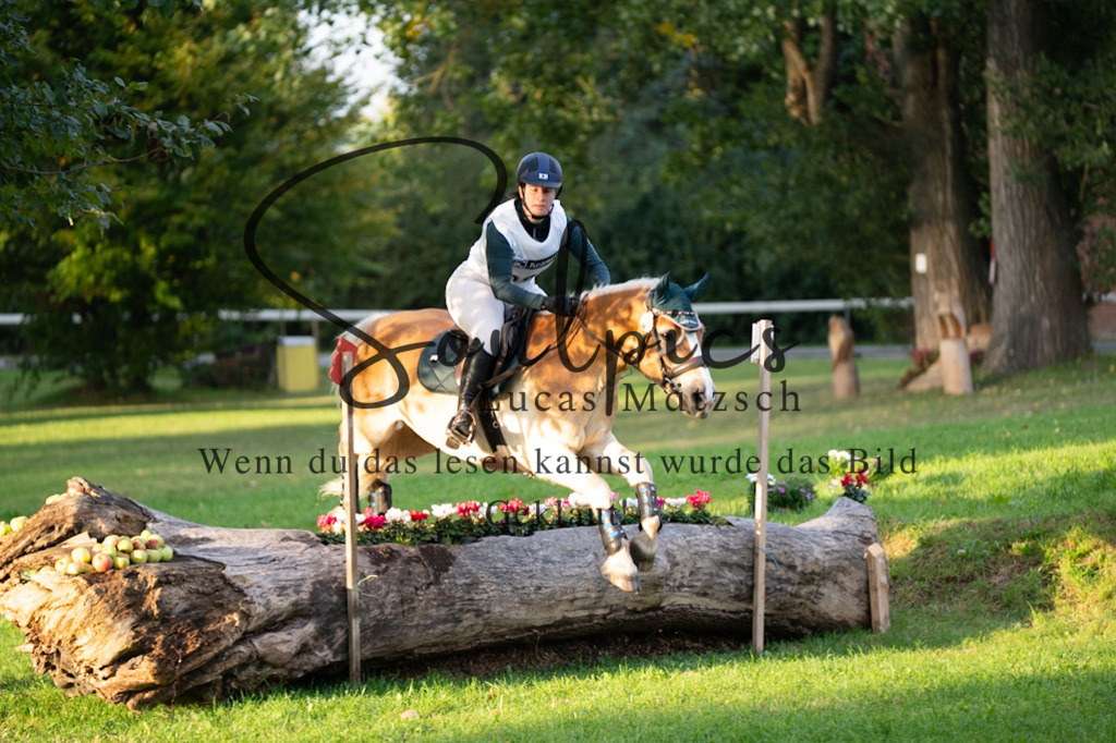 A7V02840 | Pferdefotograf