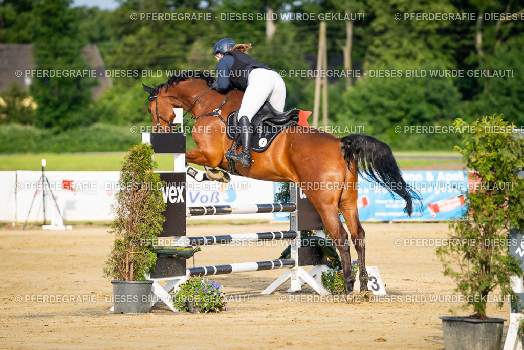 DSC02437 | Pferdegrafie