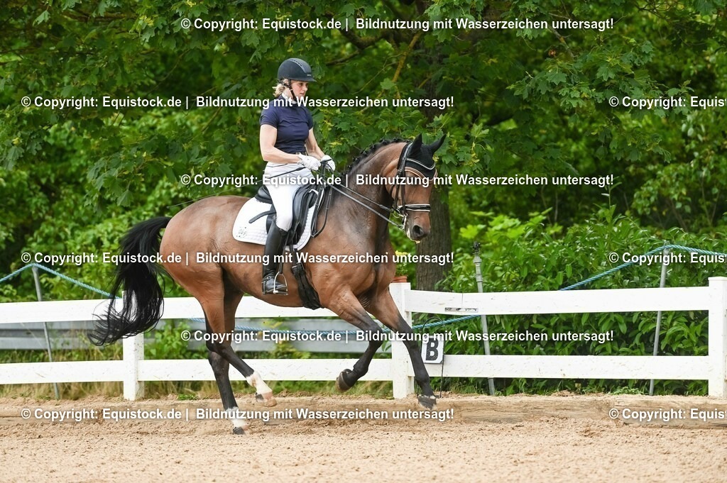 20230716_01_Dressurprüfung Kl.M_0445 | equistock