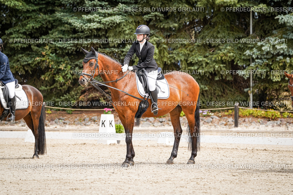 DSC02608 | Pferdegrafie