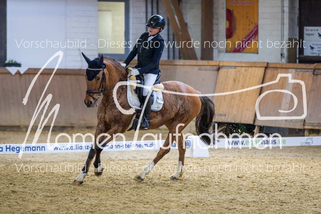 _M2A2030 | MomenTaufnahmen Pferdesportfotos