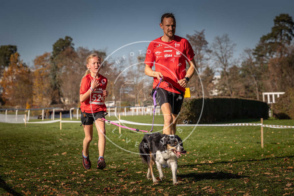 CaniXpix_0L8A7215 | Hundefotografie, Tierfotograf, Pfotenfotografie, Fotoshooting Hund, Hunde Portrait, Hundesport, Hundeportraits, Heideshooting, Hunde, Sportfotograf, Hundefotograf, Turnierhundsport, THS,  - Realisiert mit Pictrs.com