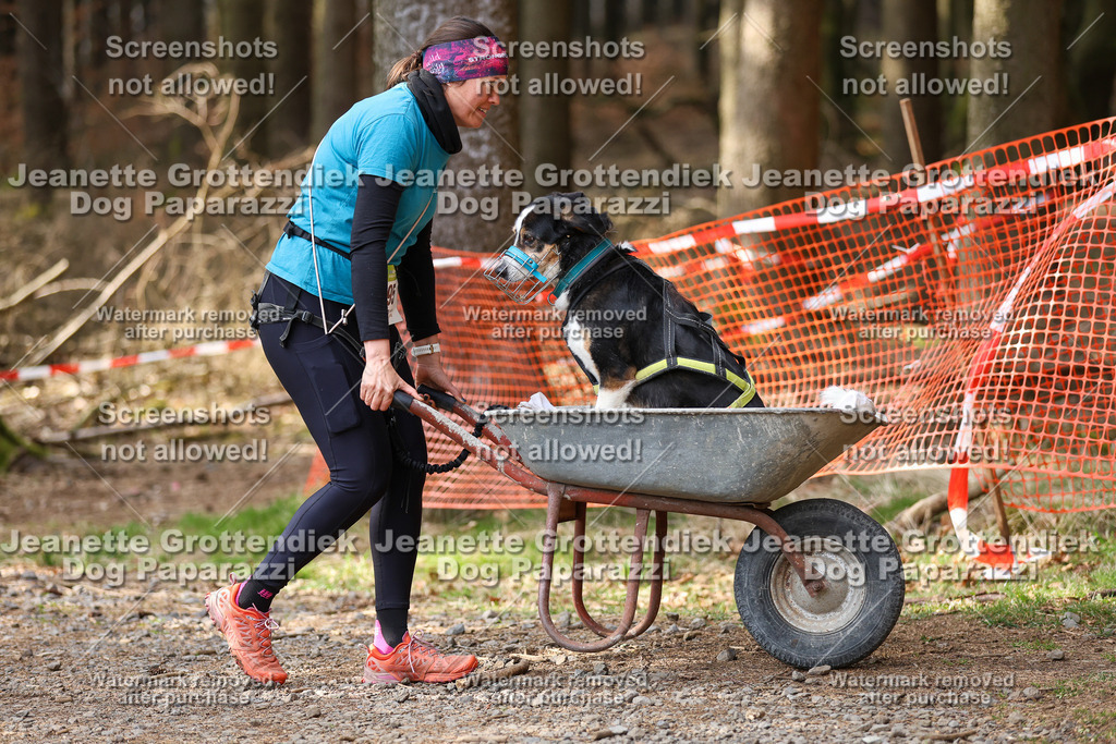 Dog Paparazzi - VCC26-627 | Dog Paparazzi Jeanette Grottendiek Fotografie & Videografie - Realisiert mit Pictrs.com
