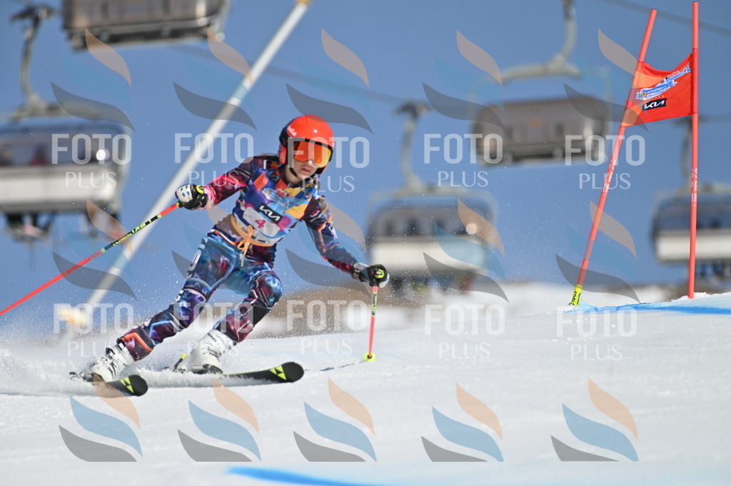 BGV_7631 | holidayphoto