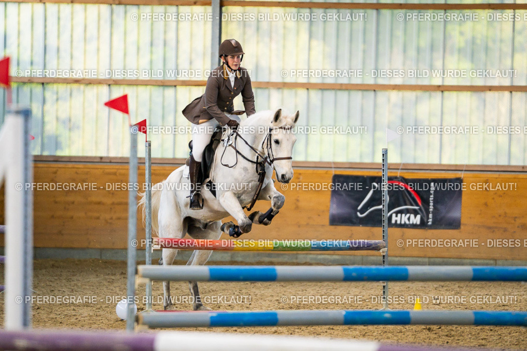 DSC00664 | Pferdegrafie