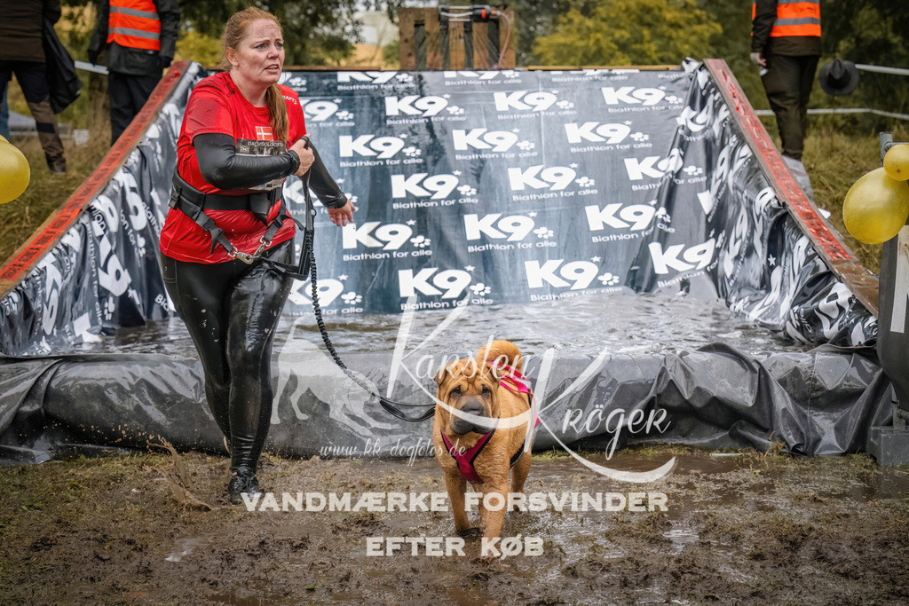 1206_ZZ94350 | kk-dogfotos