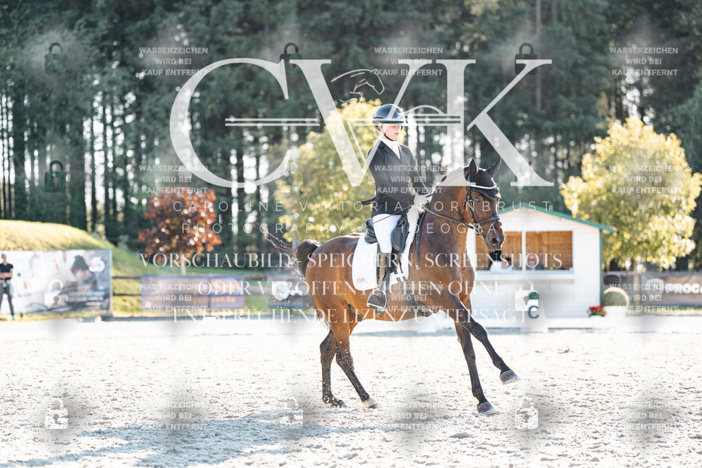 CK907095 | Turnierfotografie Pferdefotografie Trier Rheinland-Pfalz Pferdesport Reitsport Tierfotografie Sportfotografie Pferdevideo Pferdevideografie Equestrianvideography equestrianphotography  - Realisiert mit Pictrs.com