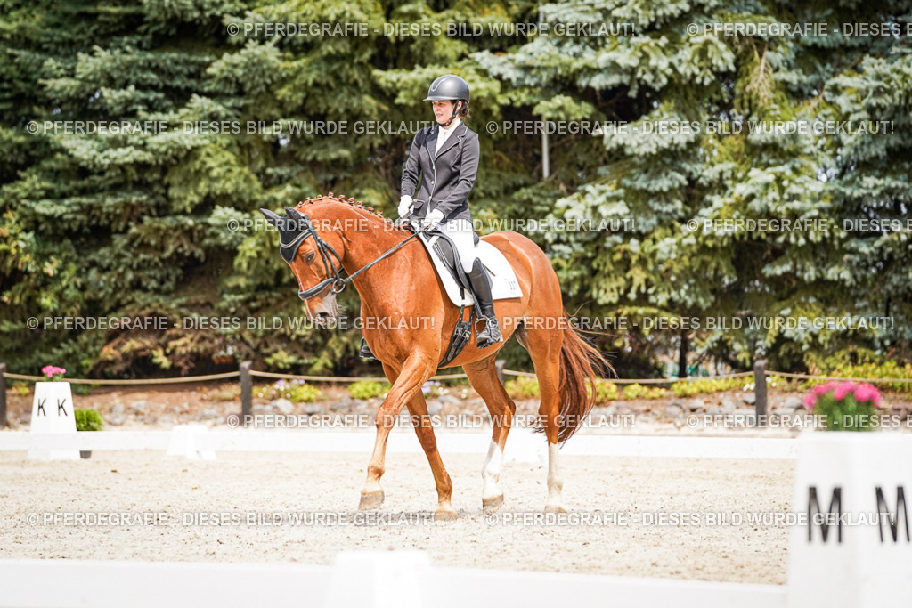 DSC04022 | Pferdegrafie