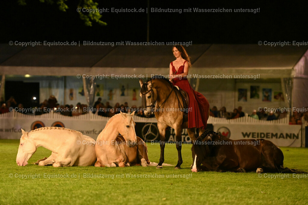 20230526_Pferdenacht_1529 | equistock
