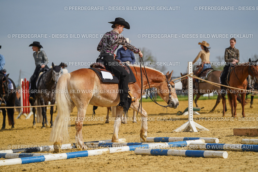 DSC01700 | Pferdegrafie