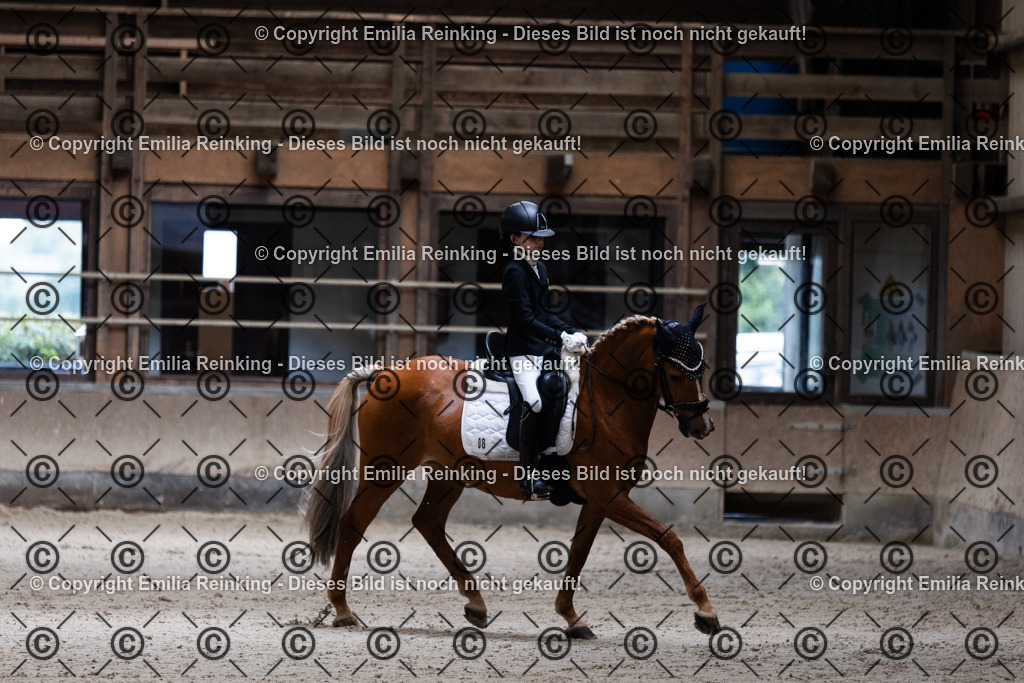 CL5A3794 | Emilia Reinking Fotografie - Realisiert mit Pictrs.com