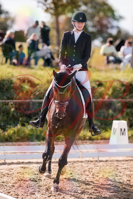 2026_10_03_Siefer-Hof_125454_Z81_43496490 | Professionelle Reitsport-, Turnier- und Eventfotografie von Robert Broda. Galerien mit ausgewählten und bearbeiteten Bildern direkt online ansehen und bestellen.