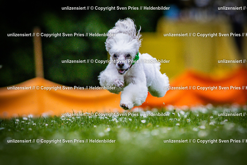 Sven Pries | 2025-05-29 - Pudelrennen KA-Durlach - Realisiert mit Pictrs.com