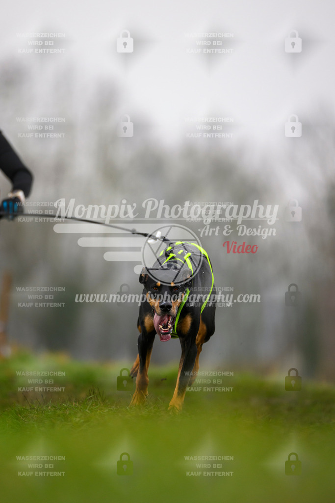 MompixPhotography_CDF2023_FFST_Di_Bike1-118 | PayLife