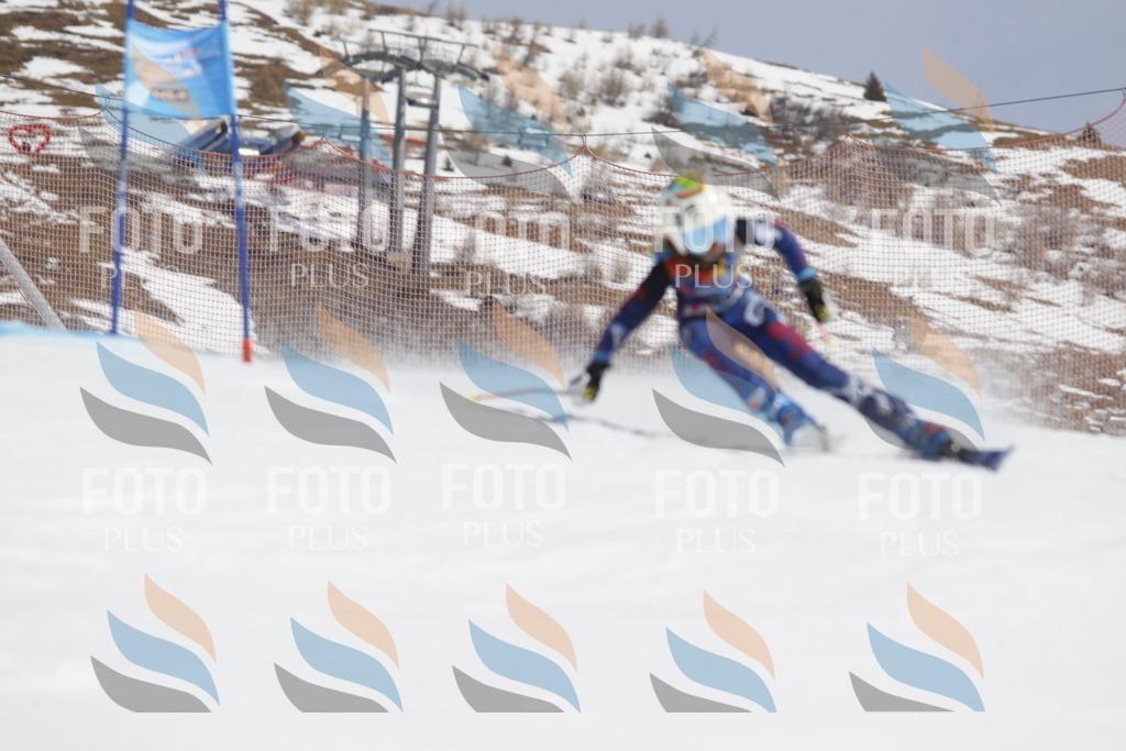 _U3G1412 | holidayphoto