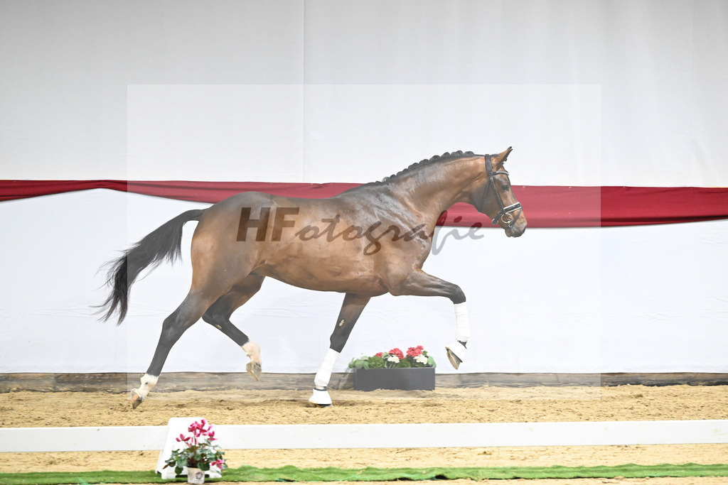 Kat-Nr. 60 v. Valverde_Schoenland_63221827 | hf-fotografie - Realizzato con Pictrs.com