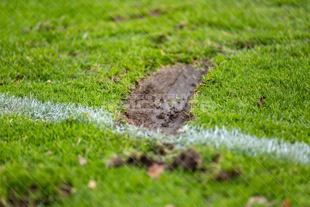 20251031_Picselweb-Fotografie_1R3_1316 | Dein Fotograf aus dem Landkreis Stade für Sport und Events - Realisiert mit Pictrs.com