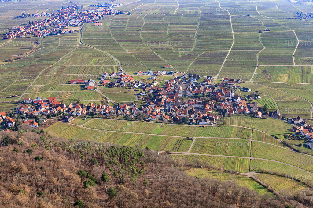 Luftbild: Winzerdorfansicht im Winter aus Westen in Weyher in der Pfalz im Bundesland Rheinland-Pfalz in Deutschland. Foto: IMG_61579.jpg vom 18.01.2014 durch Werner Riehm/FLY-FOTO.de