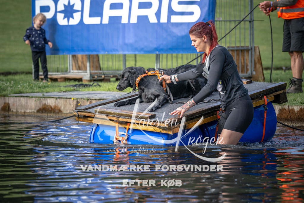 _ZZ938110708 | kk-dogfotos