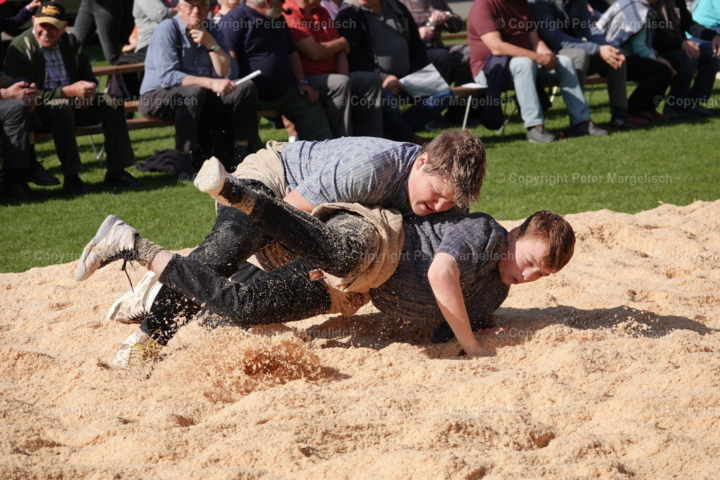 DSC00401 | Schwingen - Realisiert mit Pictrs.com