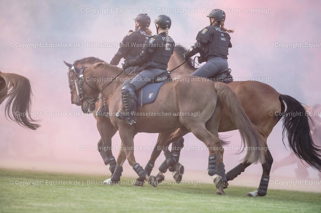 20230526_Pferdenacht_0402 | equistock