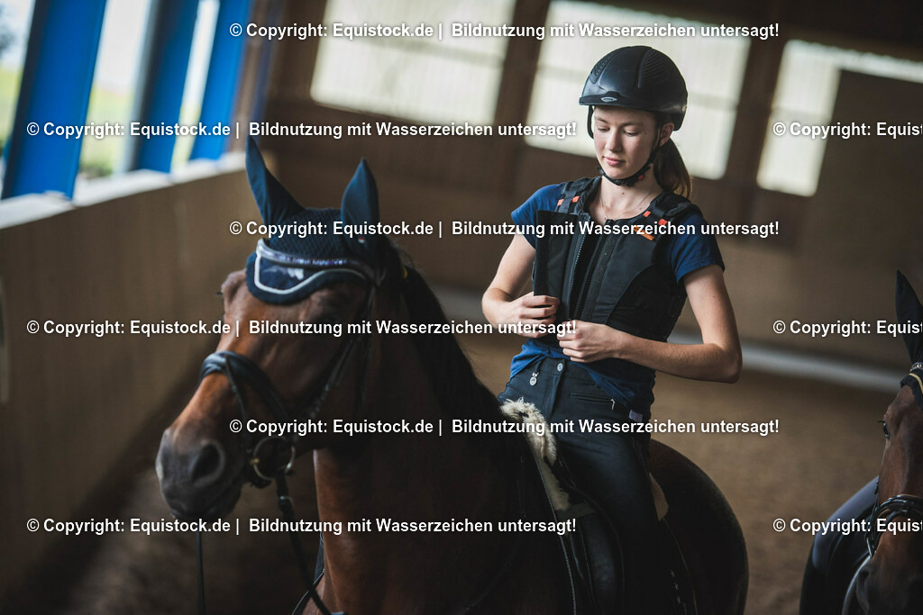 20190811_Sturzweste_0033 | equistock