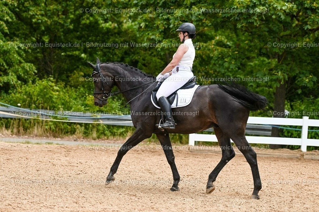 20230715_05_Dressurprüfung Kl.A++_0140 | equistock