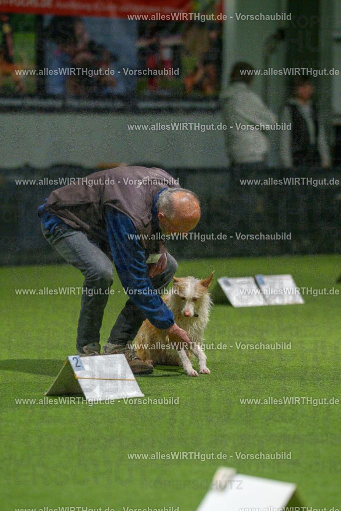 7R509027 | Professionelle Tierfotografie in Mönchengladbach von Daniel Wirth (allesWIRTHgut). Liebevolle & natürliche Bilder von Hunden & Katzen für unvergessliche Erinnerungen.