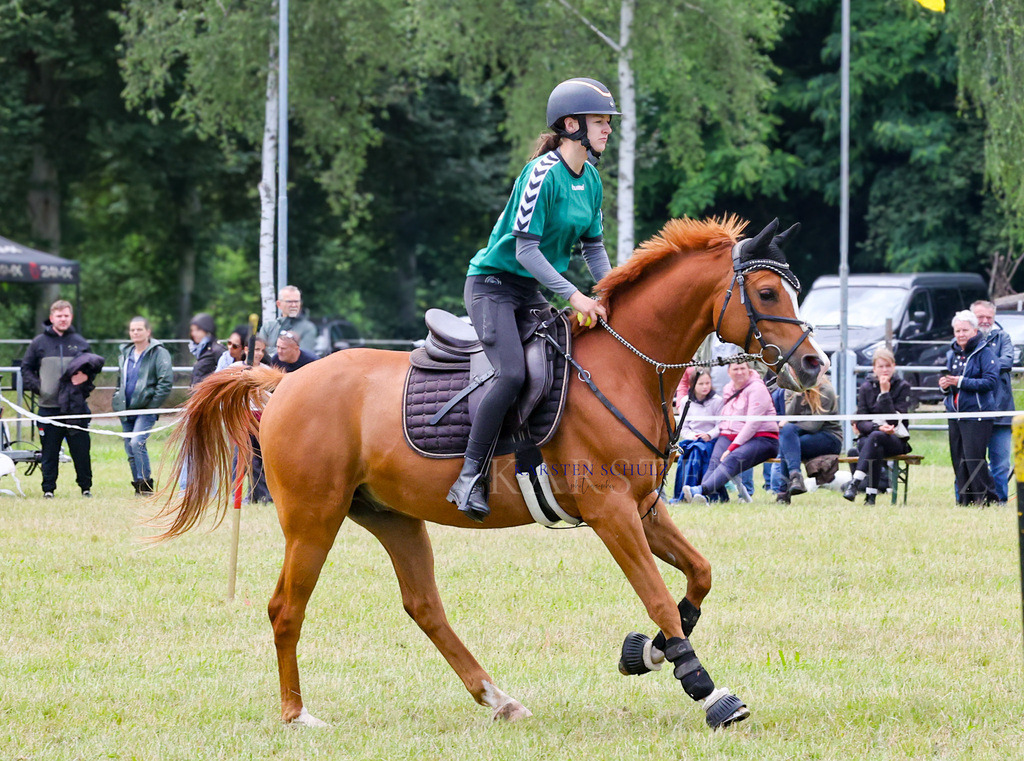 1B3A2649 | Reitsport Reiten