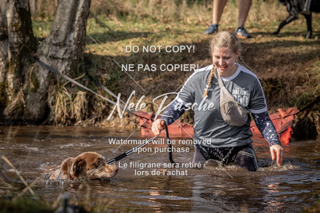 nelerasche_FS1330-1400_356 | nelerasche
