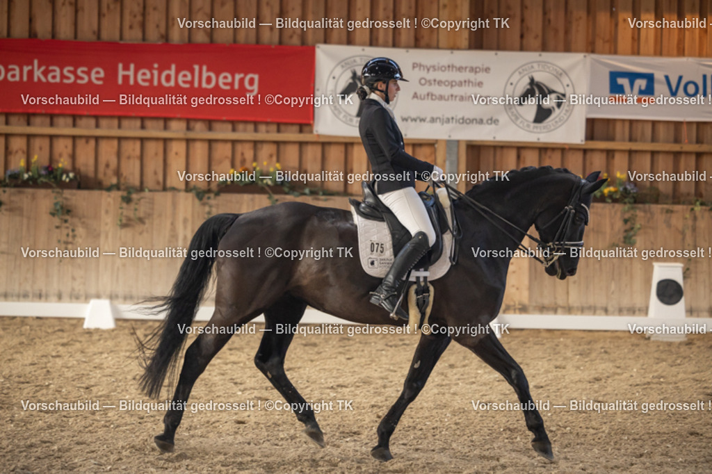 _D5A3168 | Emotionale Pferde- & People-Fotografie rund um Heidelberg, Leimen & Umgebung. Natürliche Fotos von Pferd, Mensch & Familie. Jetzt Termin sichern!